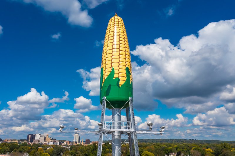 corn_cob_2.jpg